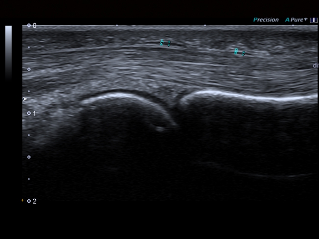 Canon Toshiba Xario 200G